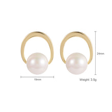 Load image into Gallery viewer, Light Luxury Ins Earrings Jewelry Earrings Simple Jewelry