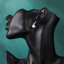 Load image into Gallery viewer, Korean Style Tassel Earrings Female Earrings Personality Sexy Earrings