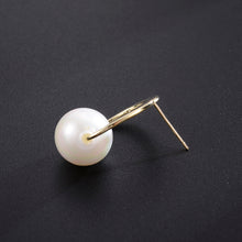 Load image into Gallery viewer, Light Luxury Ins Earrings Jewelry Earrings Simple Jewelry
