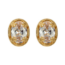 Load image into Gallery viewer, Retro Edging Gem Temperament Earrings Earrings Women