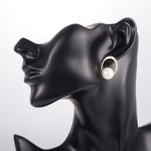 Load image into Gallery viewer, Light Luxury Ins Earrings Jewelry Earrings Simple Jewelry