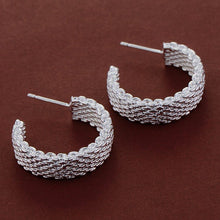 Load image into Gallery viewer, 925 silver plated earrings mesh earrings female earrings
