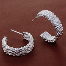 Load image into Gallery viewer, 925 silver plated earrings mesh earrings female earrings