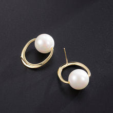 Load image into Gallery viewer, Light Luxury Ins Earrings Jewelry Earrings Simple Jewelry