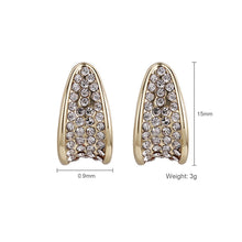 Load image into Gallery viewer, Trendy Niche Design Earrings Earrings