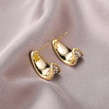 Load image into Gallery viewer, Trendy Niche Design Earrings Earrings
