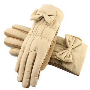 Winter gloves, cold, windproof, rainproof gloves
