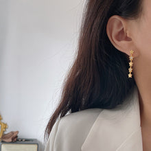 Load image into Gallery viewer, S925 Silver Seven-Star Zircon Full Star Earrings Personality Temperament Golden Earrings Earrings
