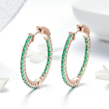Load image into Gallery viewer, Sterling Silver Earrings European And American Fashion Earrings
