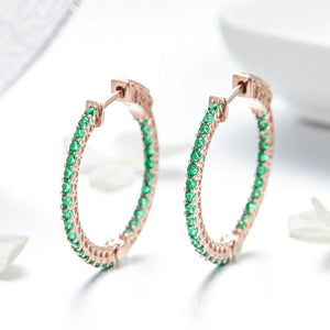 Sterling Silver Earrings European And American Fashion Earrings