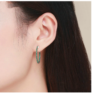 Sterling Silver Earrings European And American Fashion Earrings