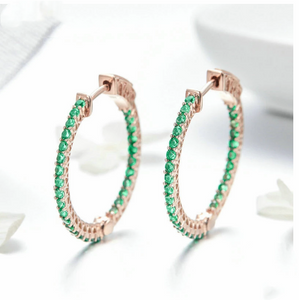 Sterling Silver Earrings European And American Fashion Earrings