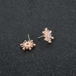 Sterling silver ear