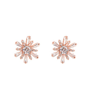 Sterling silver ear