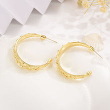 Load image into Gallery viewer, European And American Earrings Fashion Simple Female Earrings
