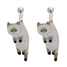 Load image into Gallery viewer, Animal Kitty Student Earrings Fashion Popular Earrings
