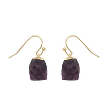 Load image into Gallery viewer, Gold earrings with crystal earrings
