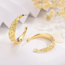 Load image into Gallery viewer, European And American Earrings Fashion Simple Female Earrings
