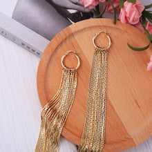 Load image into Gallery viewer, Women&#39;s exaggerated long tassel earrings
