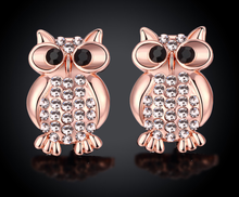 Load image into Gallery viewer, Fashion earrings owl earrings  stud earrings
