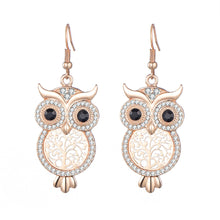 Load image into Gallery viewer, Fashion Personality Owl Ear Hook Punk Opal Earrings Alloy Earrings
