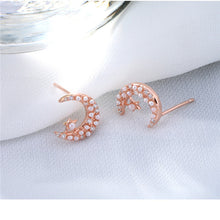 Load image into Gallery viewer, Xingyue earrings
