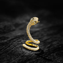Load image into Gallery viewer, Earrings temperament simple ears high sense earrings
