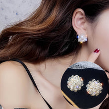 Load image into Gallery viewer, Crystal Ear Stud Ear
