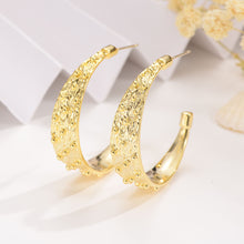 Load image into Gallery viewer, European And American Earrings Fashion Simple Female Earrings
