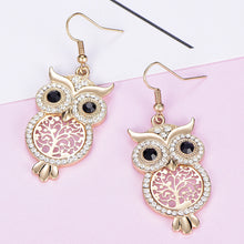 Load image into Gallery viewer, Fashion Personality Owl Ear Hook Punk Opal Earrings Alloy Earrings
