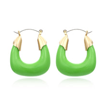 Load image into Gallery viewer, Designer Exaggerated Color Resin Earrings Retro U-shaped Acrylic Earrings Niche Cold Wind Earrings

