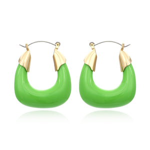 Designer Exaggerated Color Resin Earrings Retro U-shaped Acrylic Earrings Niche Cold Wind Earrings