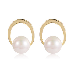 Light Luxury Ins Earrings Jewelry Earrings Simple Jewelry