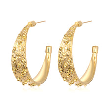 Load image into Gallery viewer, European And American Earrings Fashion Simple Female Earrings
