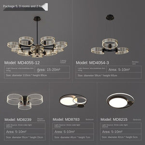 Living Room Chandelier Modern Minimalist Lamp in the Living Room Light Luxury Elegant Nordic Lamp Hall 2020 New Lighting