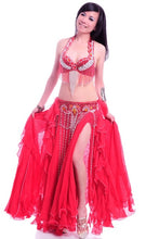 Load image into Gallery viewer, Professional belly dance costume women bra belt long skirt bellydancing dress set woman indian carnival costume dance outfit
