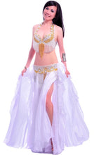 Load image into Gallery viewer, Professional belly dance costume women bra belt long skirt bellydancing dress set woman indian carnival costume dance outfit
