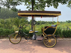 Electric Adult Tricycle Auto Battery Bicycle Rickshaw Passengers Taxi Bike Pedal Sightseeing Pedicab For Sale
