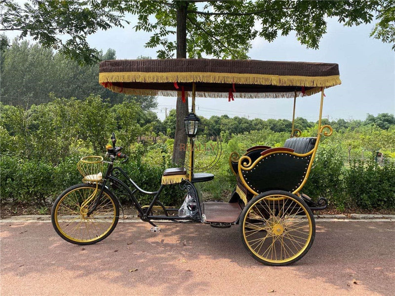 Electric Adult Tricycle Auto Battery Bicycle Rickshaw Passengers Taxi Bike Pedal Sightseeing Pedicab For Sale